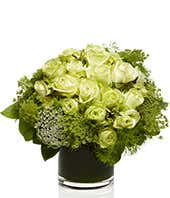 Mojito Luxe Designer's Choice