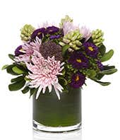 Purple Garden Mix