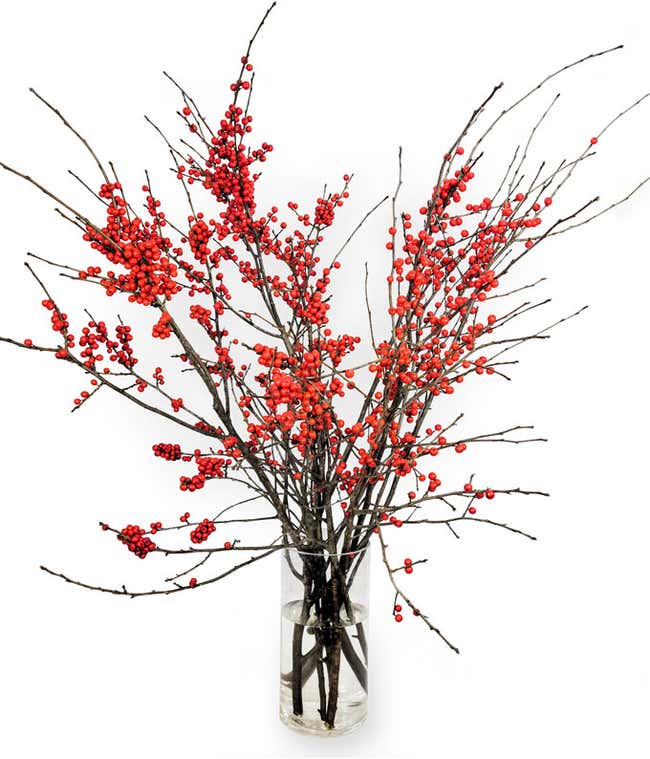  Arrangement of bare branches with clusters of bright red berries in a clear glass vase.