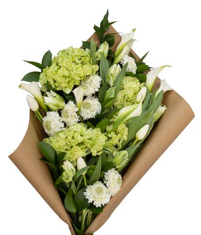 Enchanting Emerald Bundle