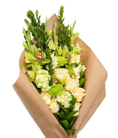 Precious Peridot Bundle