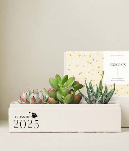 Lula's Garden ® Congrats Grad! Jewel Garden