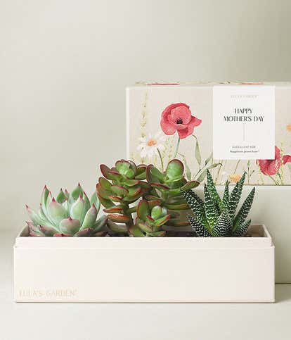 Lula's Garden &reg; Mother's Day Jewel Garden