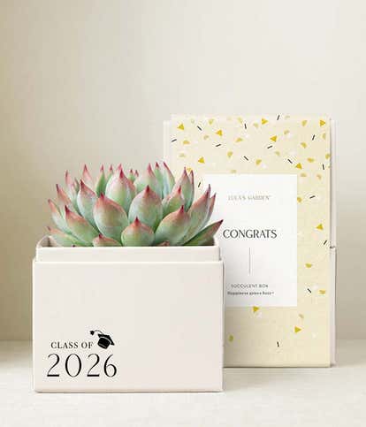 Lula's Garden &reg; Congrats Grad! Bliss Garden