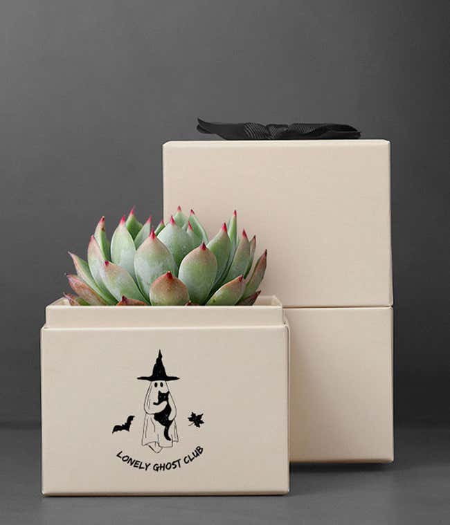 Lula's Garden &reg; Halloween Bliss