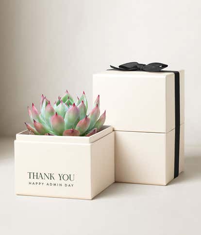 Lula's Garden &reg; Admin Day Bliss Box