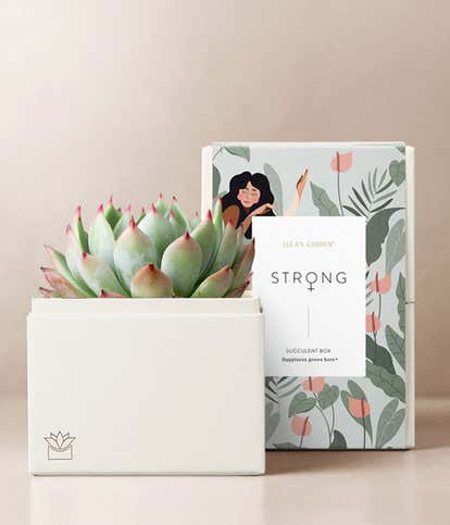 Lula's Garden ® Women's History Month Bliss Garden