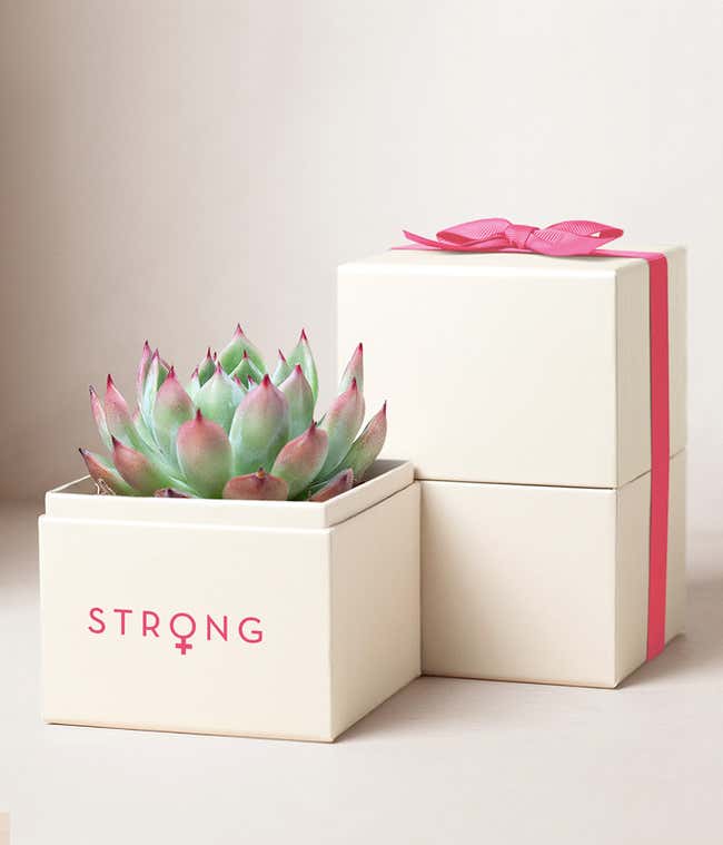 Lula's Garden &reg; Women's History Month Bliss Garden