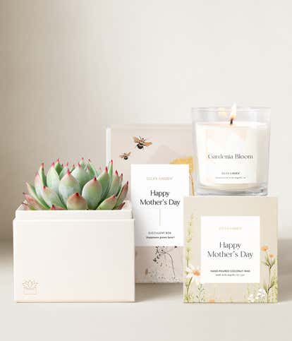 Lula's Garden ® Mother's Day Bliss Garden Gift Set