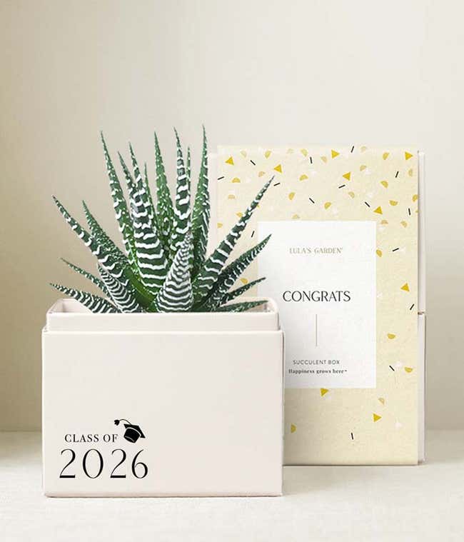 Lula's Garden &reg; Congrats Grad! Zebra Garden