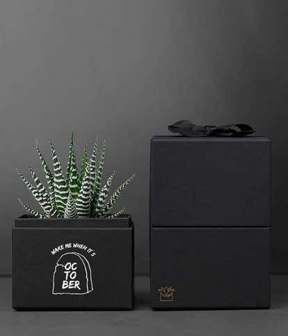 Lula's Garden ® Halloween Zebra Noir