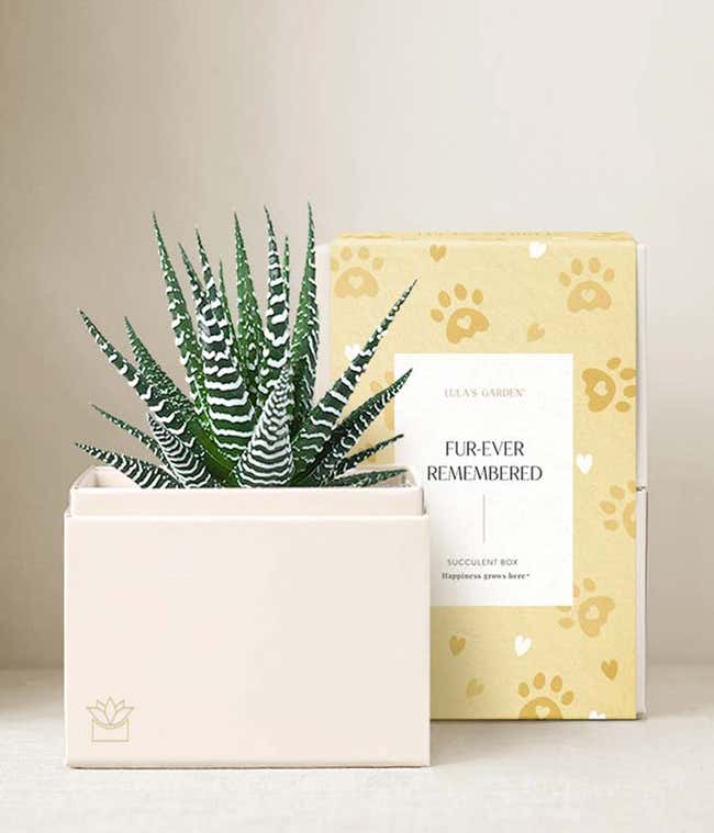 Lula's Garden &reg; Furever Remembered Zebra Garden