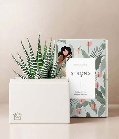 Lula's Garden ® Women's History Month Petite Zebra Garden