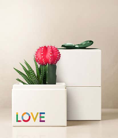 Lula's Garden ® Celebrate Pride Rosé Garden