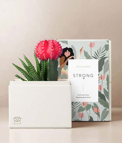 Lula's Garden ® Women's History Month Rosé Garden