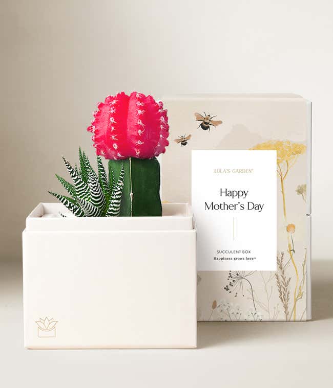 Lula's Garden &reg; Mother's Day Ros&eacute; Garden