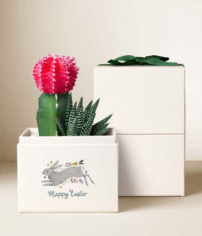 Lula's Garden &reg; Easter Ros&eacute; Garden