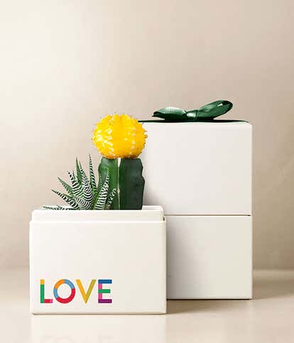 Lula's Garden ® Celebrate Pride Ray Garden