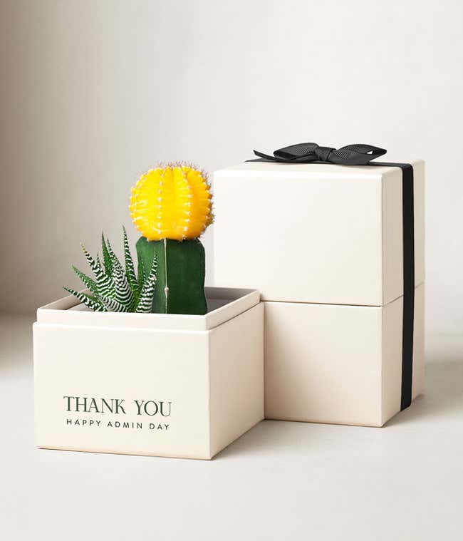 Lula's Garden &reg; Admin Day Ray Garden