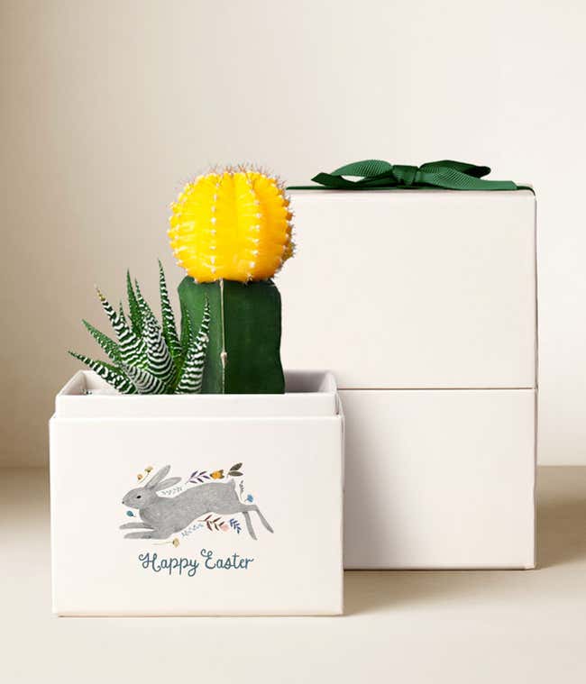 Lula's Garden &reg; Easter Ray Garden