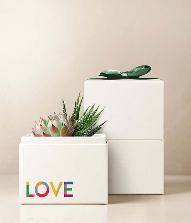 Lula's Garden &reg; Celebrate Pride Glow Garden