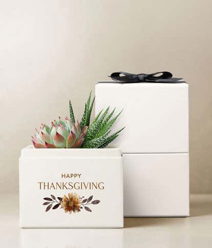 Lula's Garden ® Thanksgiving Glow 
