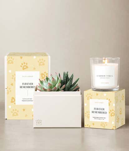 Lula's Garden &reg; Furever Remembered Glow Bundle