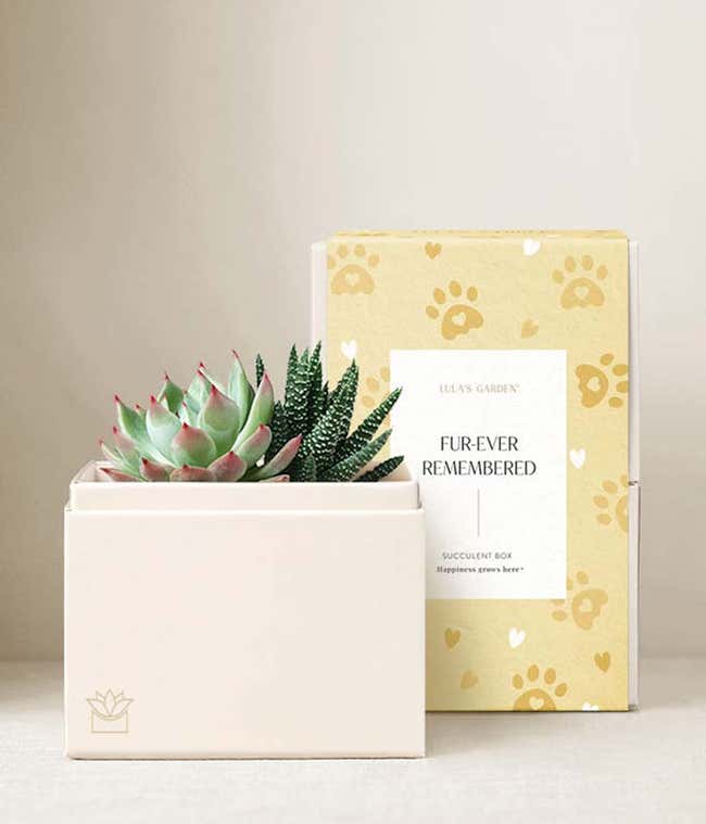 Lula's Garden &reg; Furever Remembered Glow Garden
