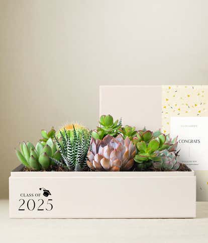 Lula's Garden ® Congrats Grad! Lush Garden