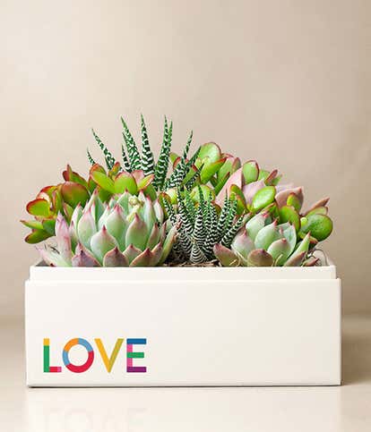 Lula's Garden ® Celebrate Pride Urban Garden