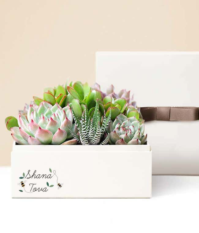 Lula's Garden &reg; Rosh Hashanah Urban Garden