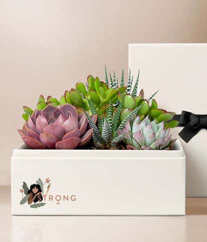 Lula's Garden ® Women's Day Urban Garden 