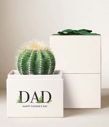 Lula's Garden ® Father's Day Succulent Cactus 