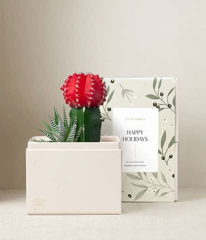 Happy Holidays Joy Succulent Garden