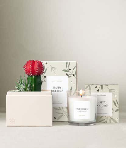 Happy Holidays Joy Succulent Gift Set