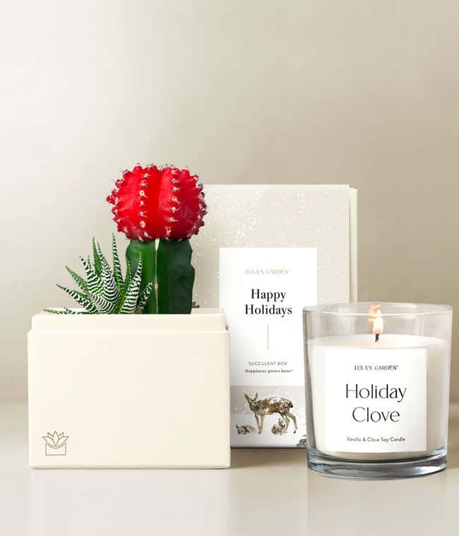 Happy Holidays Joy Succulent Gift Set