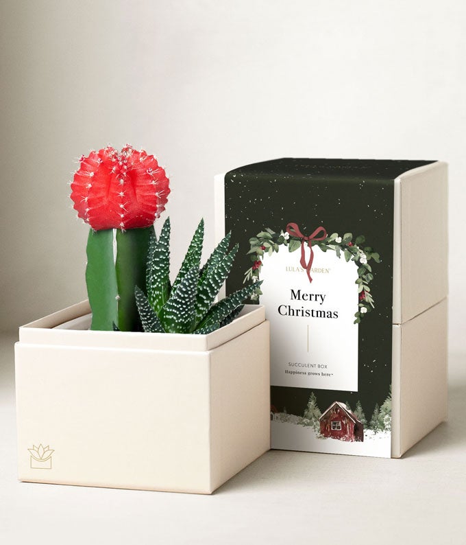 Christmas Flowers And Gifts - FromYouFlowers