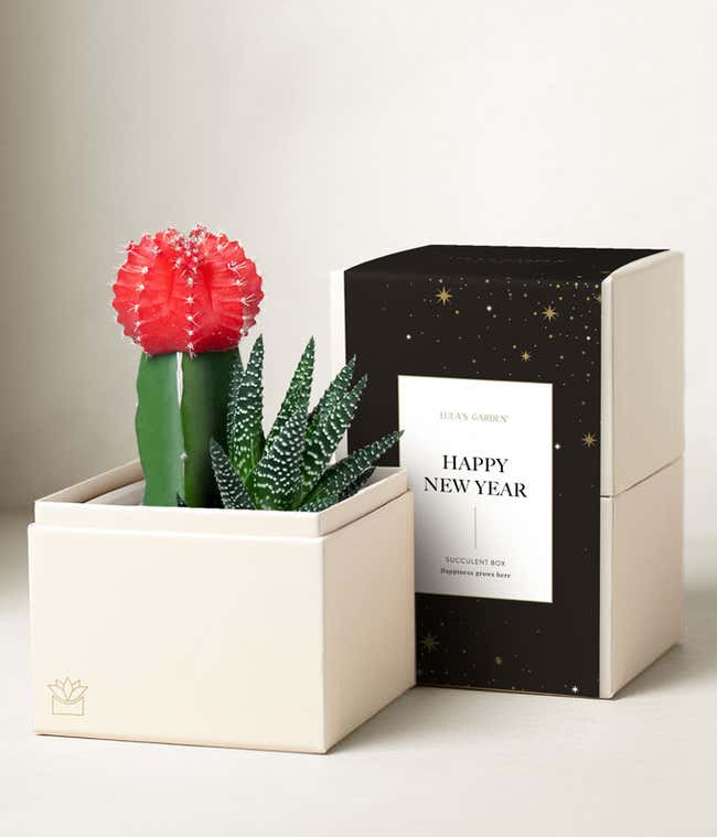 Lula's Garden &reg; New Years Joy Succulent Garden