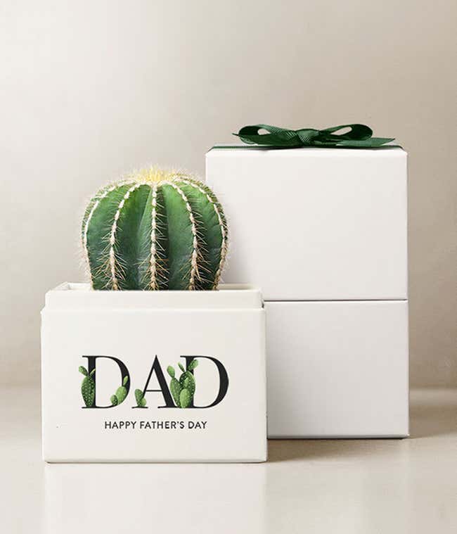 Happy Father's Day! Spartacus Cactus Garden