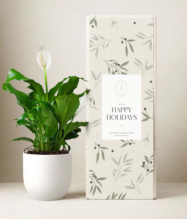 White peace lily plant in a smooth white ceramic pot displayed beside a tall holiday gift box with a botanical design and a &ldquo;Happy Holidays&rdquo; label.
