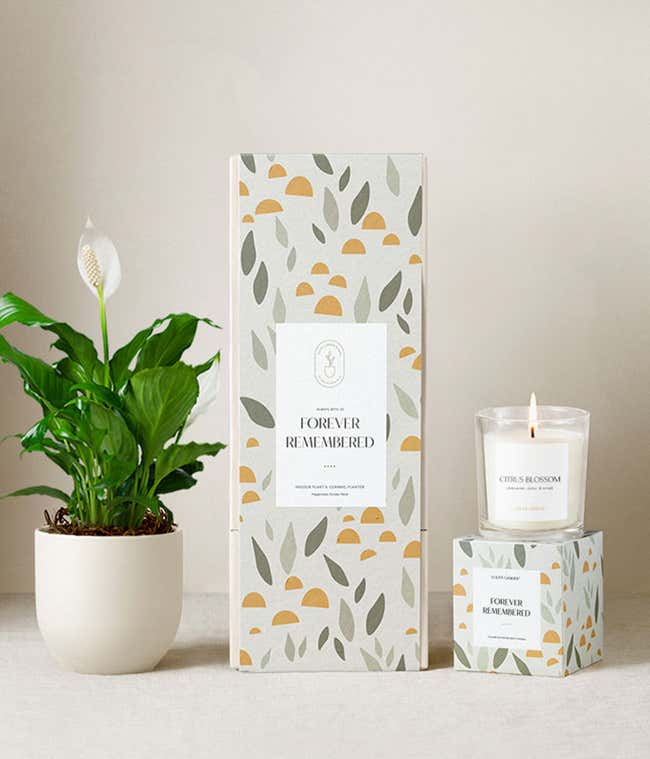 Sympathy gift set featuring a peace lily plant in a white ceramic planter, a citrus blossom scented candle, and a decorative gift box with a leaf and sun pattern labeled Forever Remembered