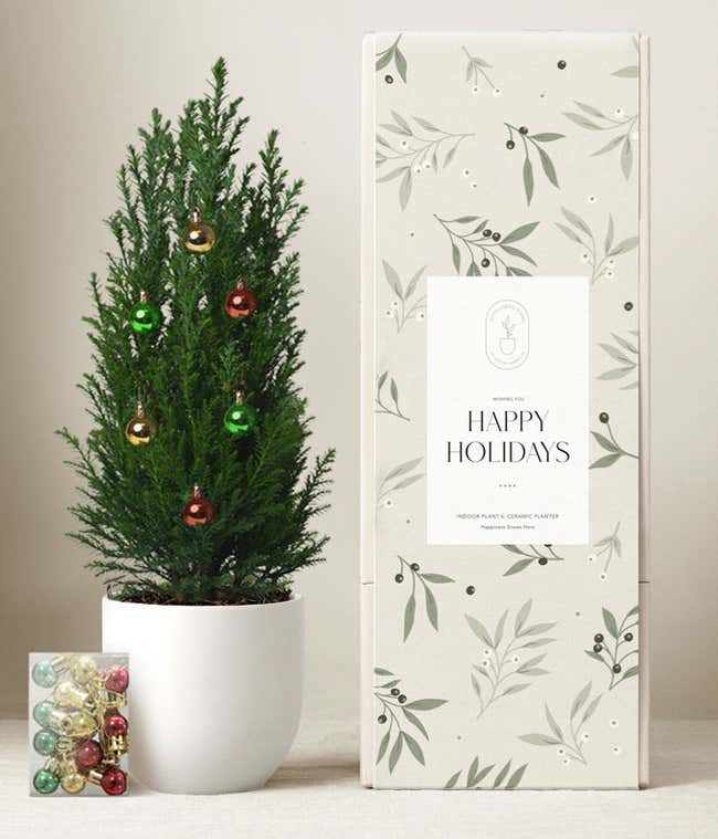 Small holiday tree in a white pot with red, green, and gold ornaments, next to a gift box labeled Happy Holidays and a small pack of ornaments in front.