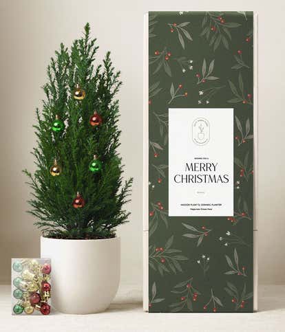 Lula's Garden ® Mini Merry Christmas Tree