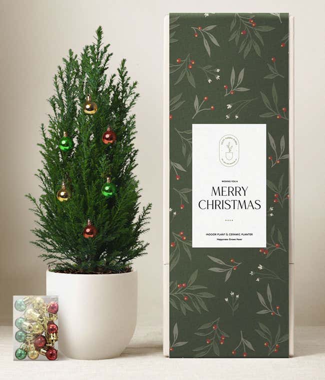 Small Christmas tree in a white pot decorated with red, green, and gold ornaments, next to a dark green gift box labeled Merry Christmas and a small pack of ornaments in front.