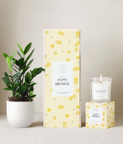 Lula's Garden ® Happy Birthday ZZ Plant Gift Set
