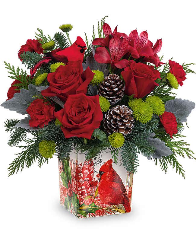 A festive arrangement with red roses, red alstroemeria, green button chrysanthemums, and seasonal greens, accented with cardinal and pinecone details, all beautifully presented in a keepsake cardinal vase.