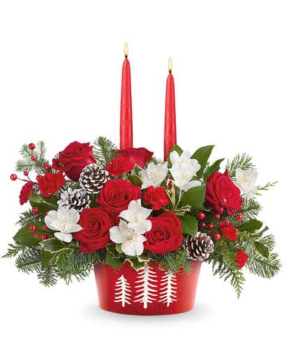 Luminous Evergreen Roses