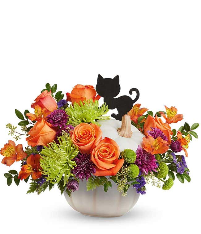 Purrfect Pumpkin Bouquet