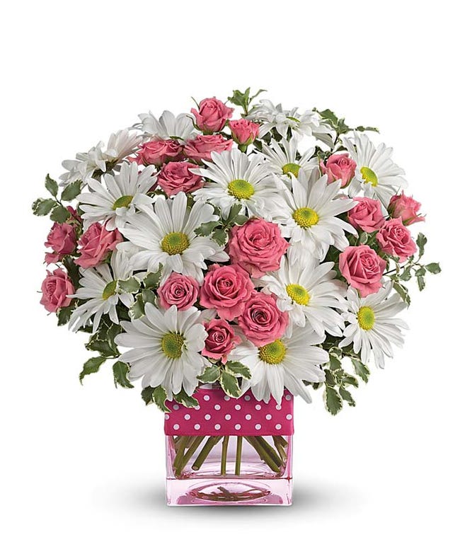 Send Daisies Daisy Arrangements FromYouFlowers