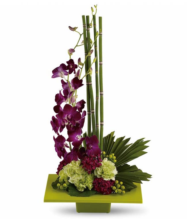 Orchids Orchid Delivery FromYouFlowers